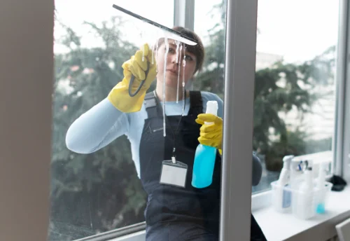 Nettoyage de vitres intérieures et extérieures à Puiselet-le-Marais